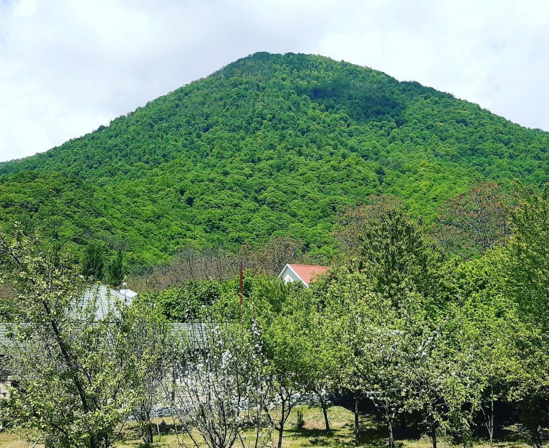 Gabala Sweet Home Exterior foto